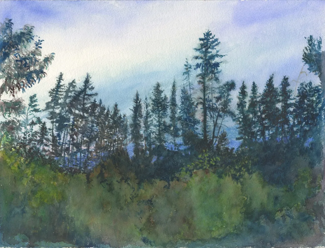 Banks Road Trees watercolour