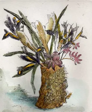 A collection of hand-coloured etchings  in the spirit of coded Victorian flower arrangements.